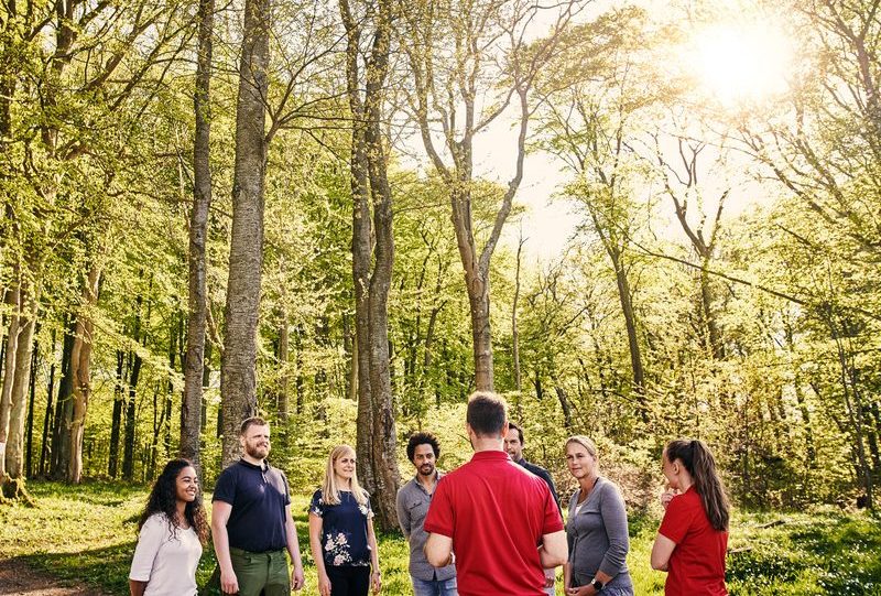 Cropped shot of a group of diverse colleagues team building at a company retreat
